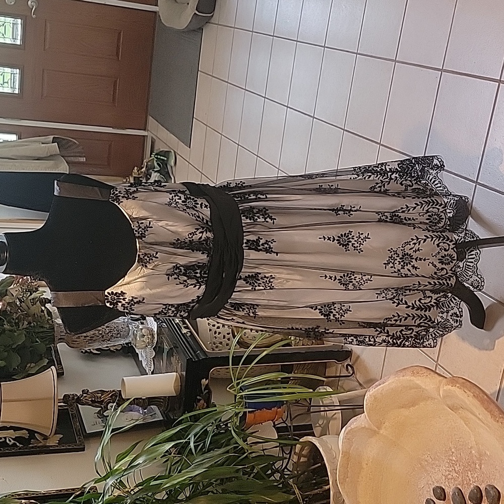 Black and white dress size 2x.